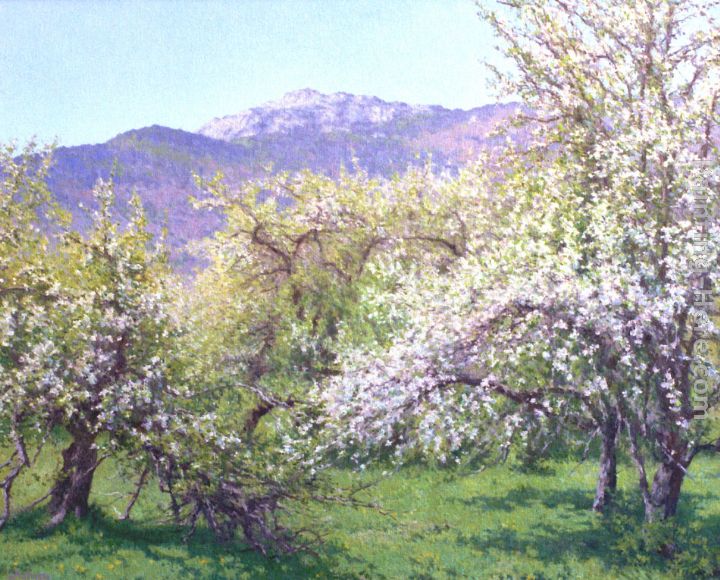 Abandoned Orchard